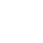 black swan logo text white (1)
